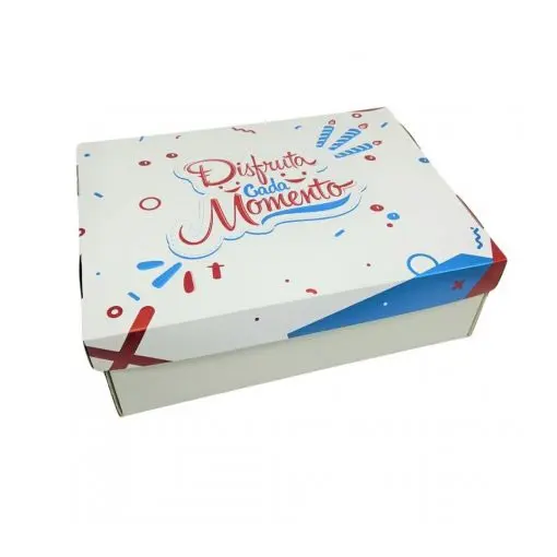 CAJA  51,5x41x8 CM TAPA Y FONDO MICROCANAL DISFRUTA CADA MOMENTO (10UDS) decopast